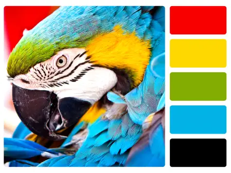 Farben für Design